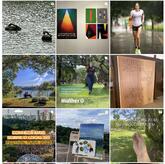 PARQUE IBIRAPUERA